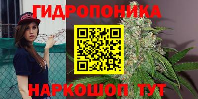 твердый Майкоп